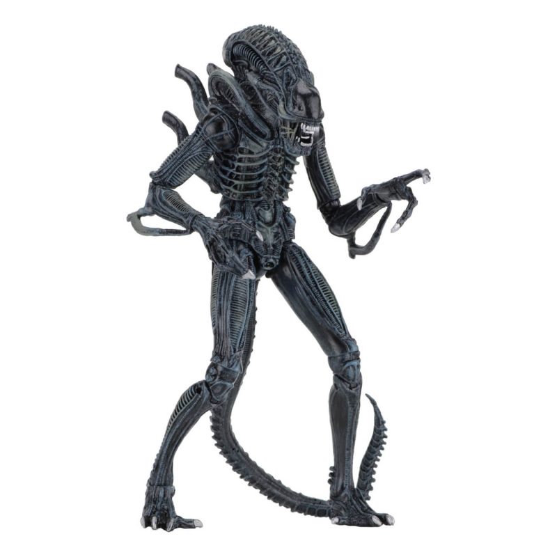 51647 Aliens Ultimate Blue Warrior 3