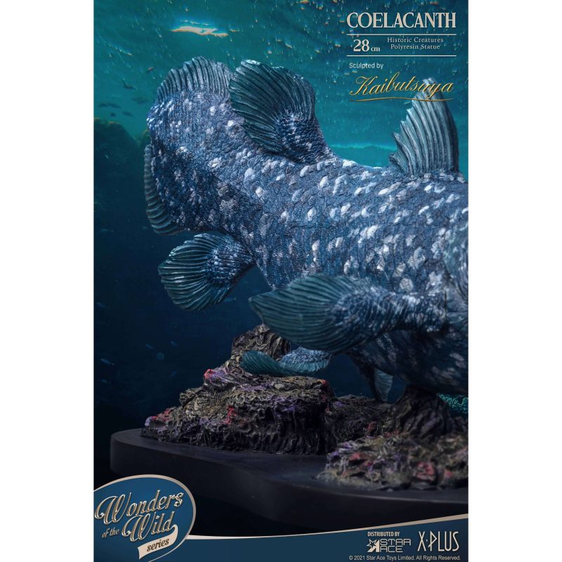 Coelacanth4