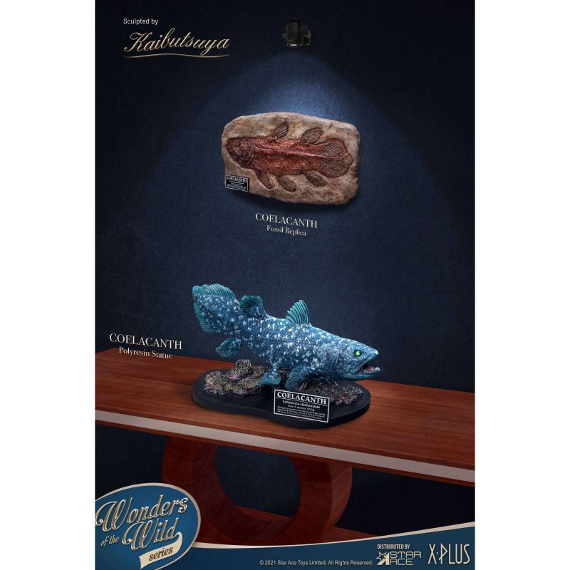 Coelacanth5