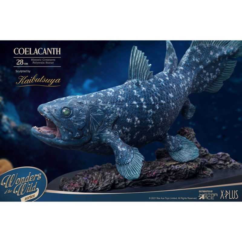 Coelacanth6