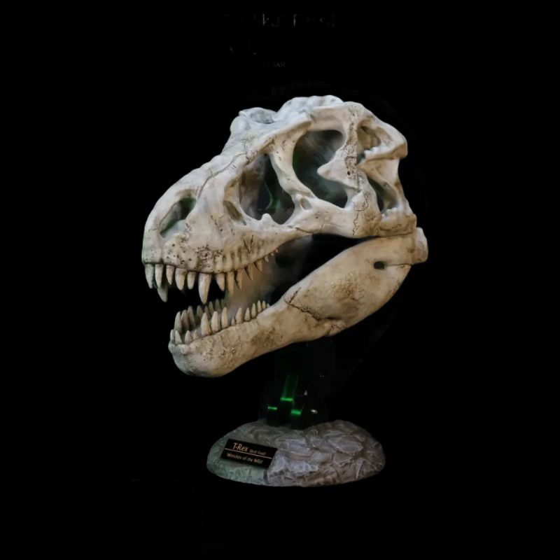 Tyrannosaurus Rex Skull Fossil 9535 scaled 1