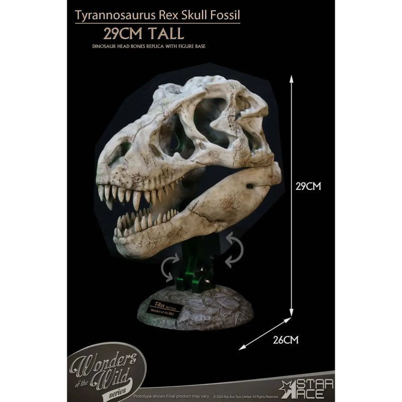 Tyrannosaurus Rex Skull Fossil 9540 scaled 1